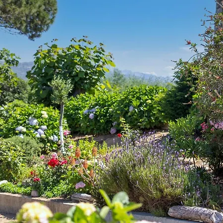 فندق Arcu Di Sole 2*