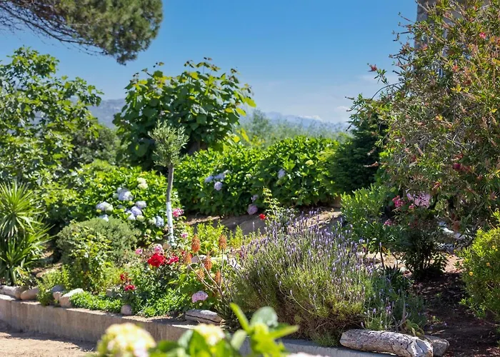 Hotel Arcu Di Sole 2*